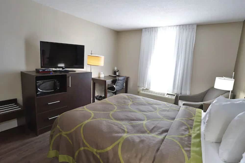 Room, 1 King Bed, Non Smoking