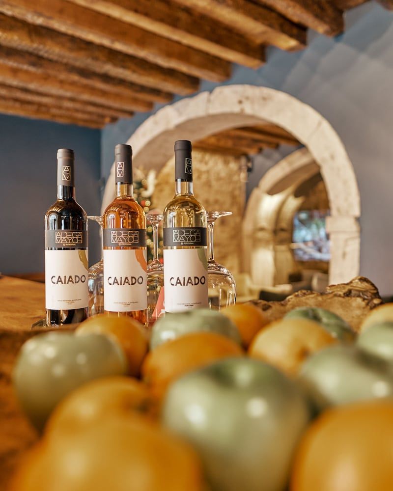 undefined Dare Lisbon House 10