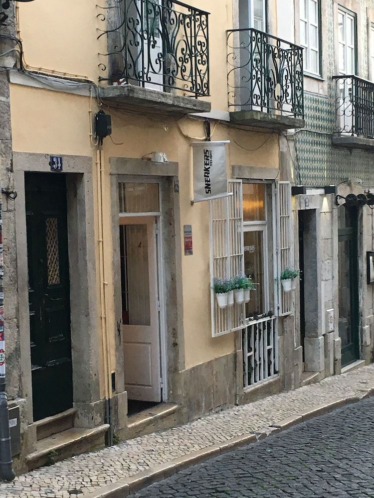 undefined Lisbon Fragrances Orchidee Flowers 2