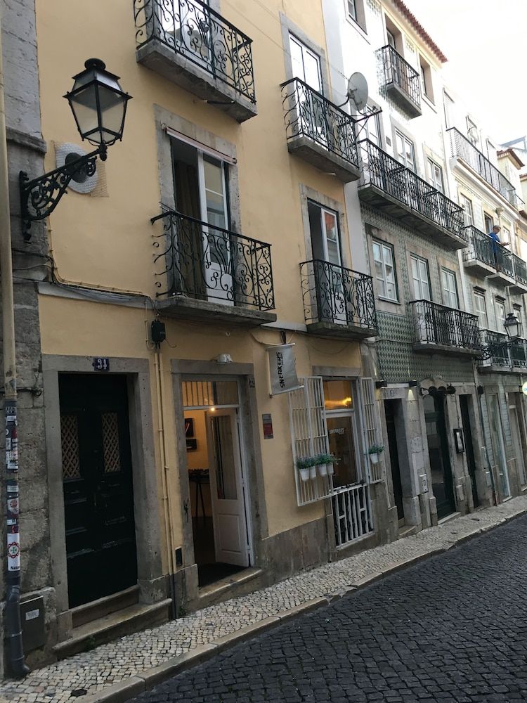 undefined Lisbon Fragrances Orchidee Flowers 3