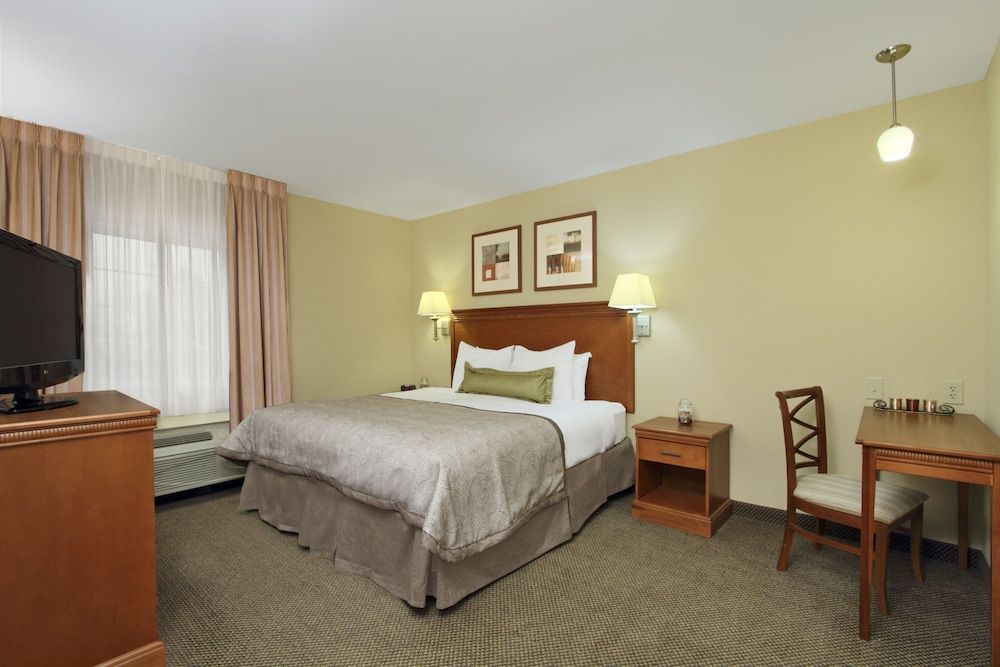 Suite, 1 Bedroom