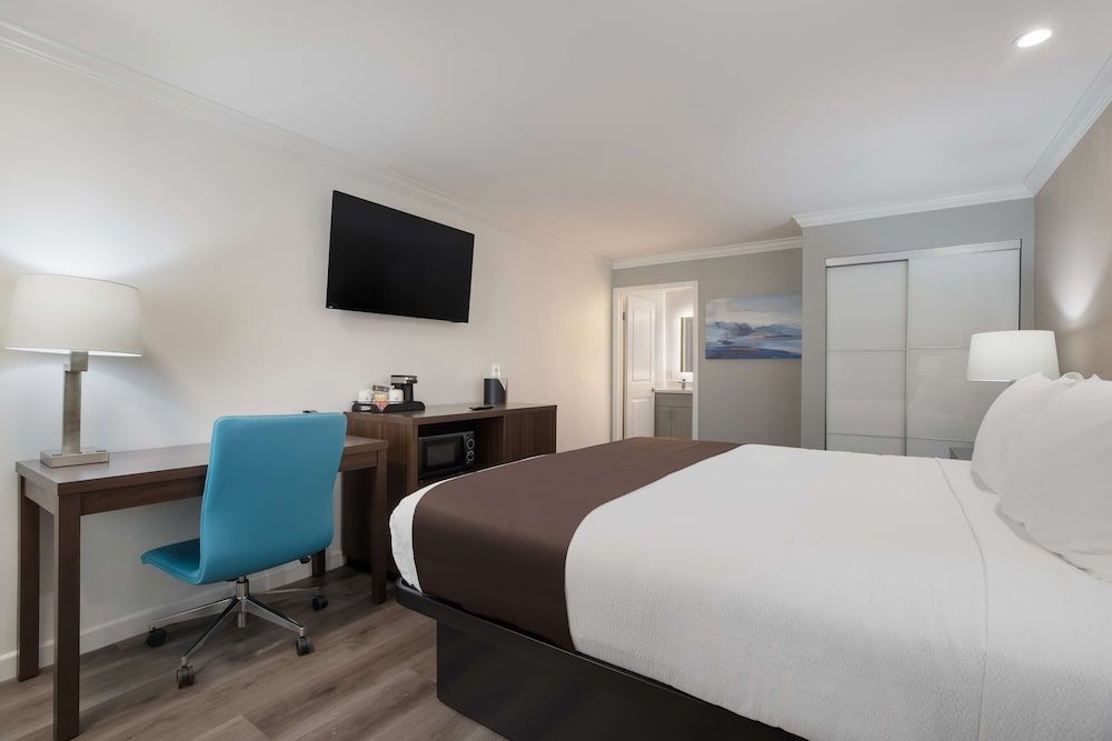 Standard Room, 1 King Bed, Non Smoking, Refrigerator & Microwave