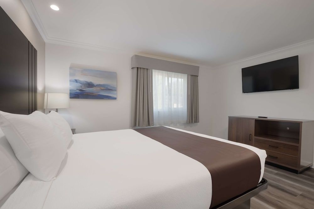 Suite, 1 King Bed, Non Smoking, Refrigerator & Microwave (Separate Living Room;with Sofabed)