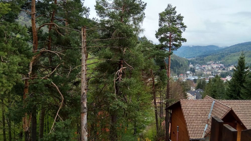 Casa Adina Double Room, Mountain View 12