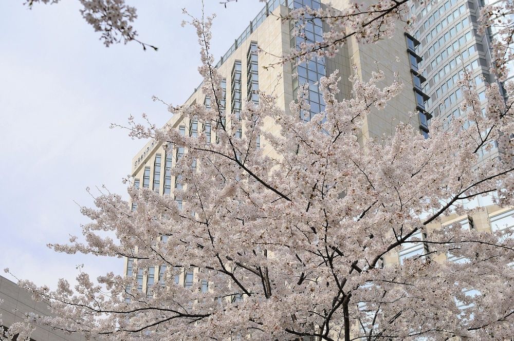 Grand Hyatt Tokyo