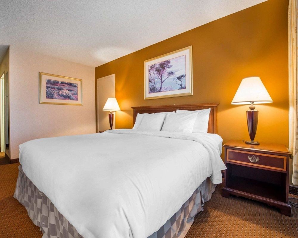 Room, 1 King Bed, Non Smoking