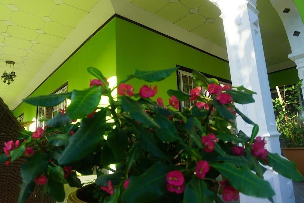 undefined Villa Hortensia 2
