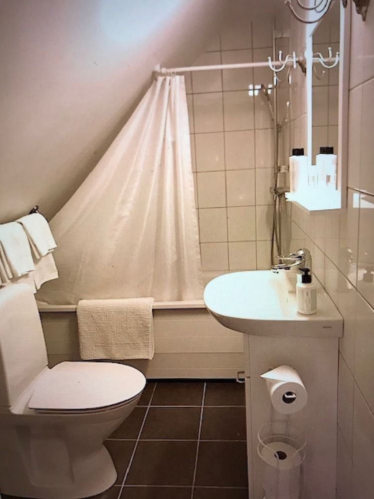 Hotell Bäckagården Basic Double Room, Bathtub (6)