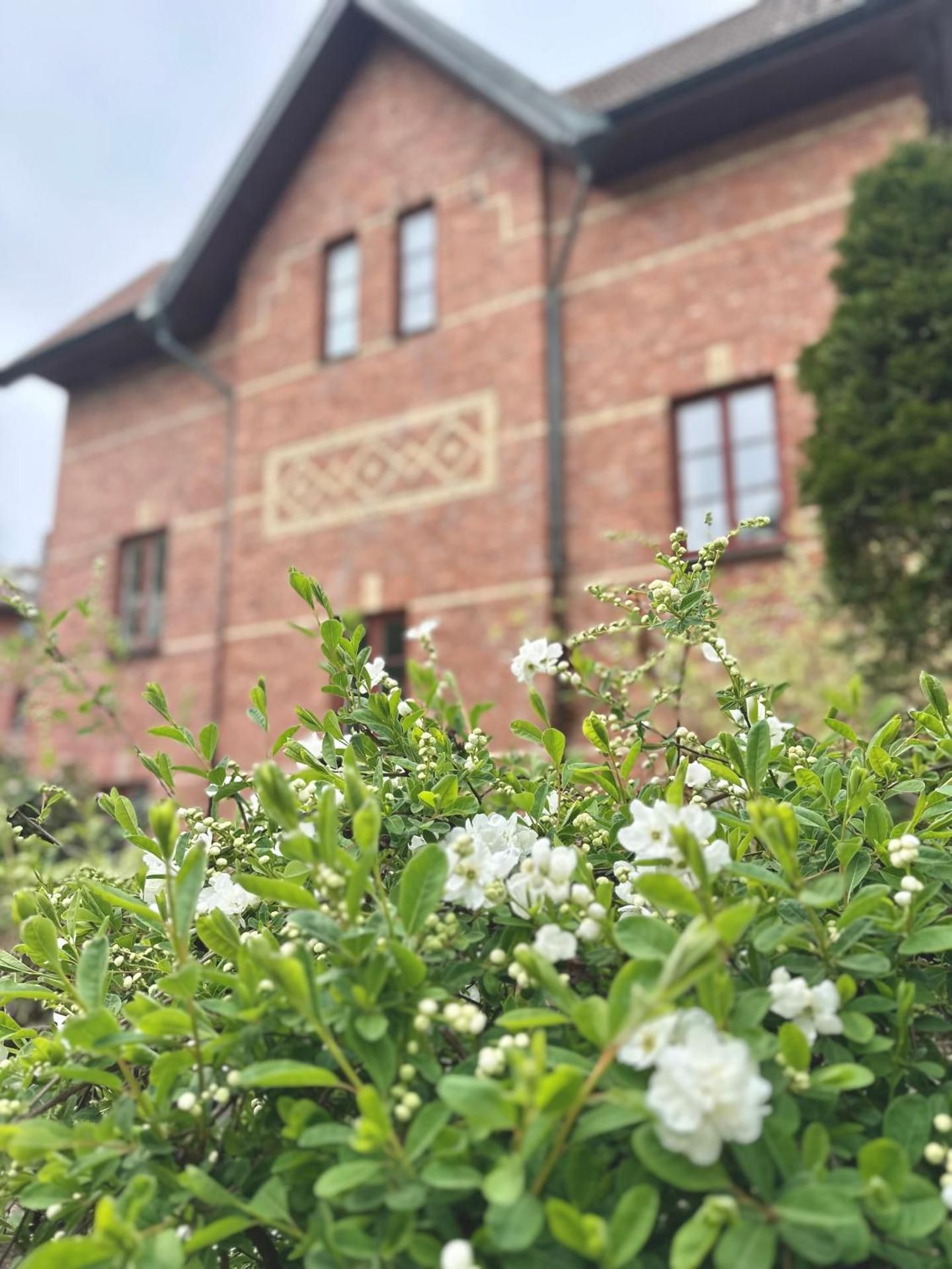 undefined WOW, Foreningsgatan 9 3