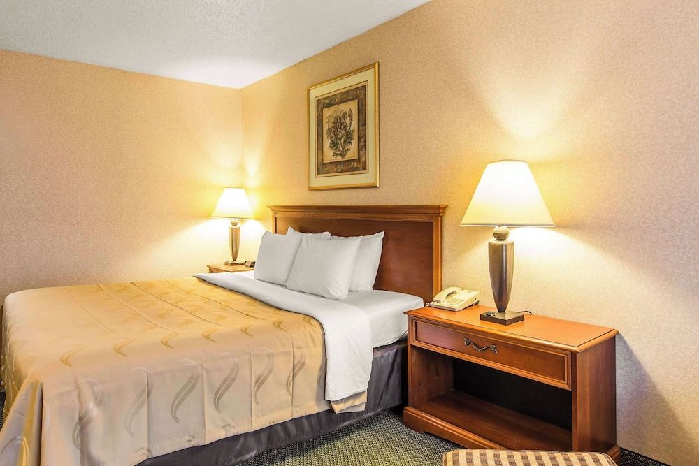 Room, 1 King Bed, Smoking
