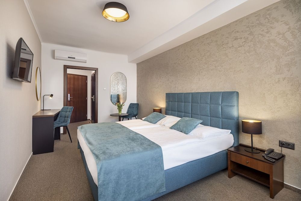 Hotel Park Superior Room