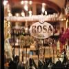 Hotel Rosa