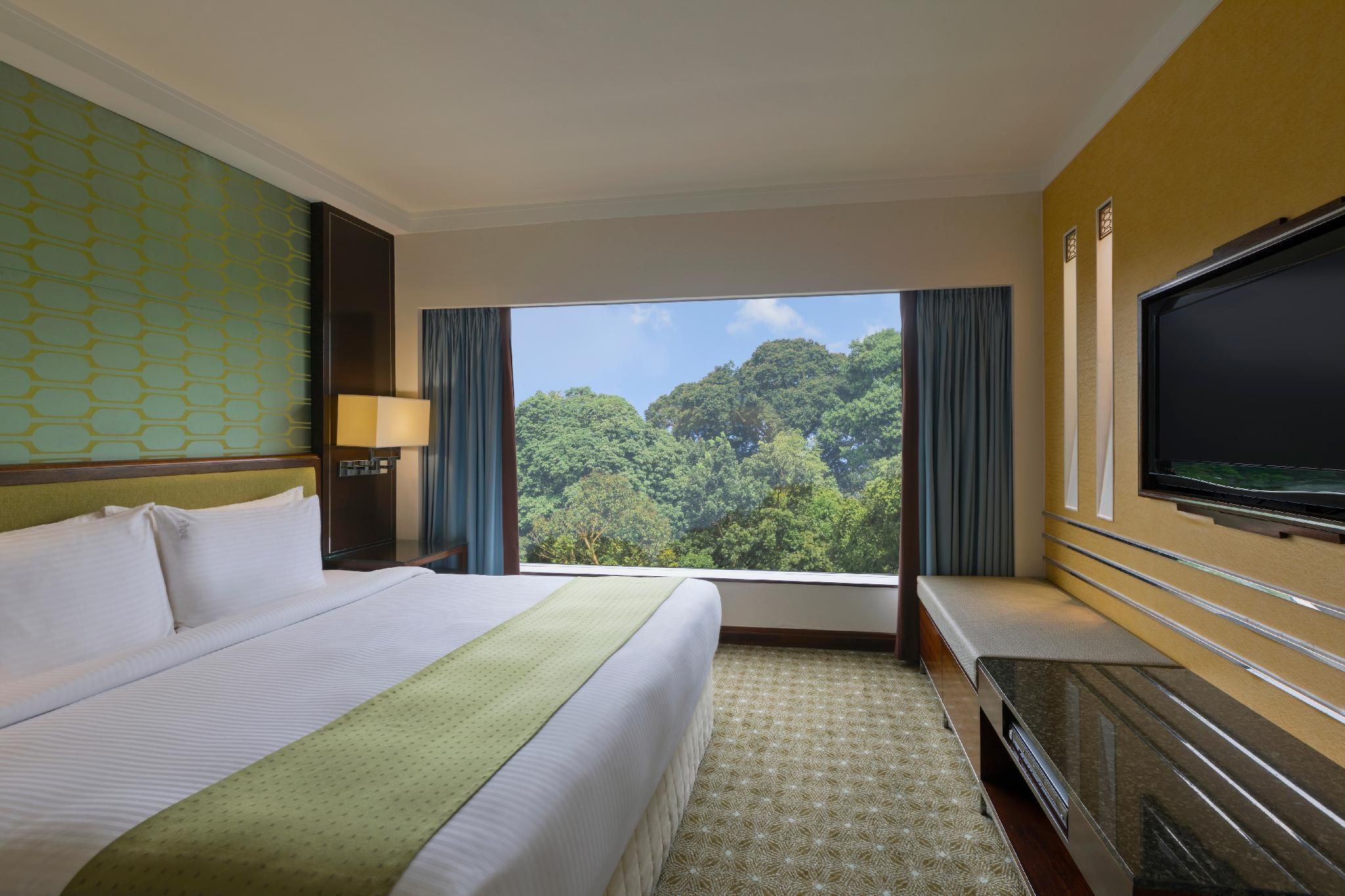 1 BEDROOM SUITE 1 KING