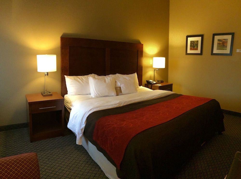 Room, 1 King Bed, Accessible, Non Smoking