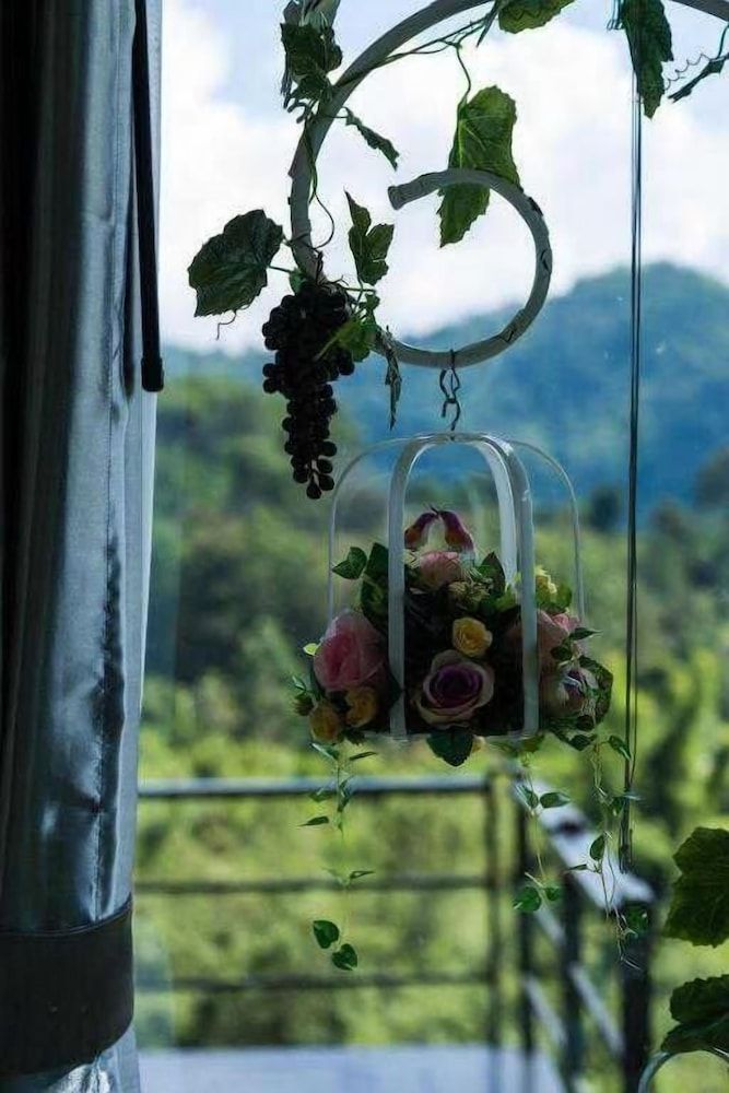 Phu Pha View Doi Tree House Terrace 11