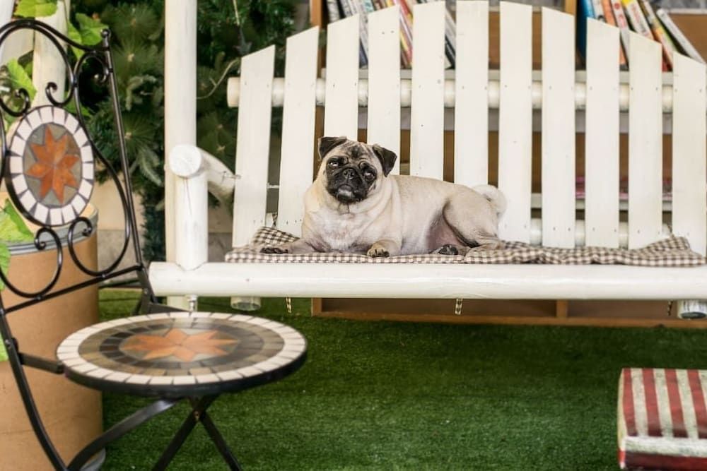 undefined Nego Home 8