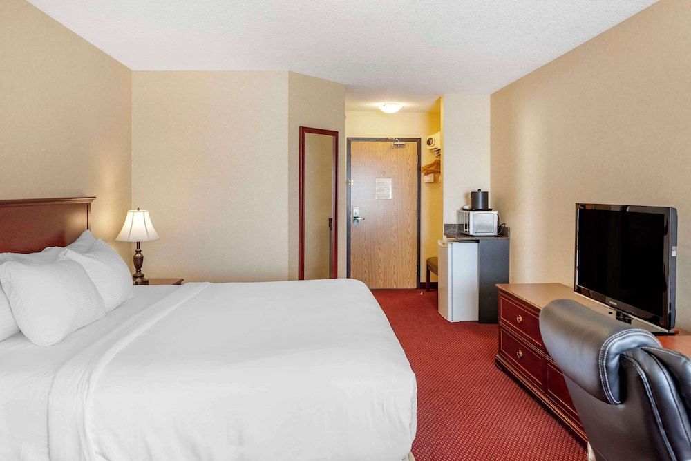 Standard Room, 1 King Bed, Non Smoking