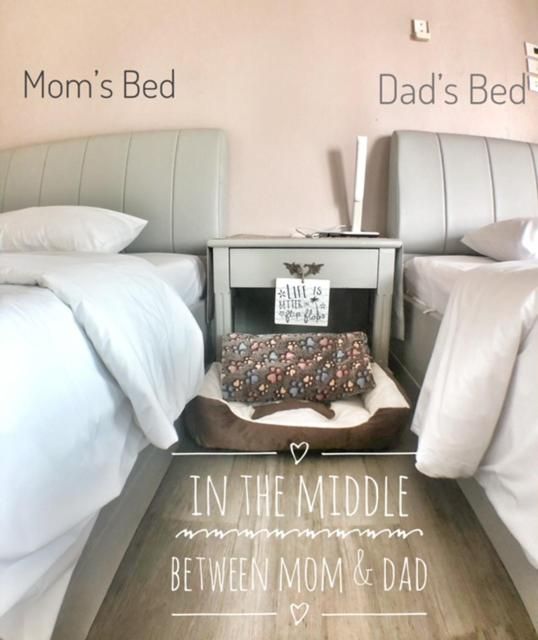Deluxe Double or Twin Room with Garden View
