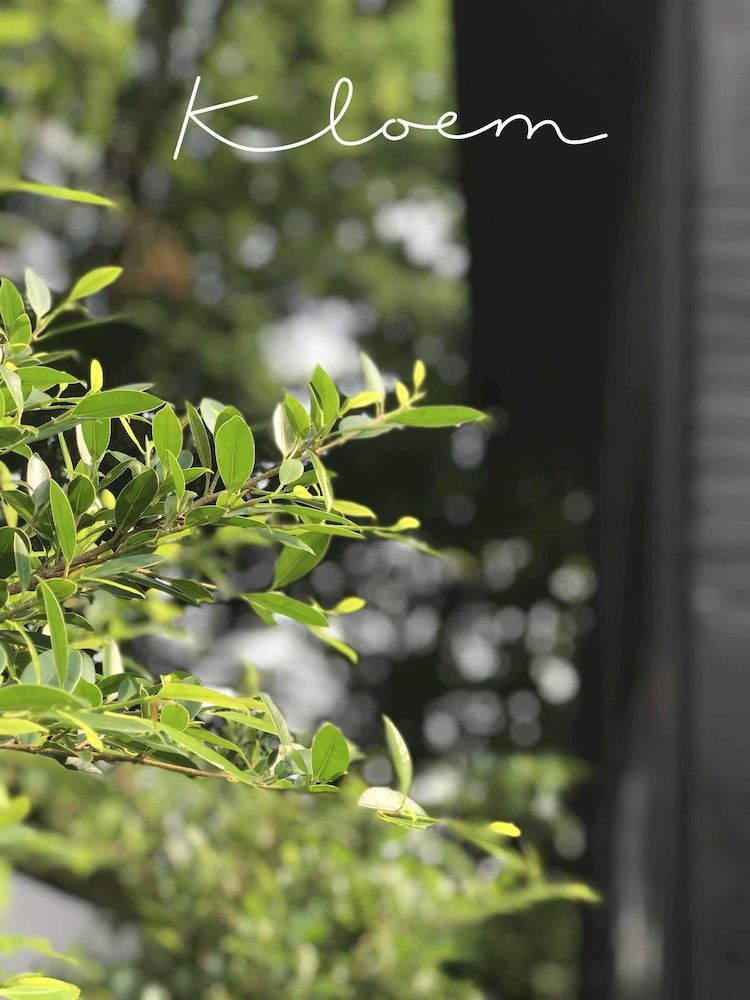 undefined Kloem Hostel - Adults Only 7