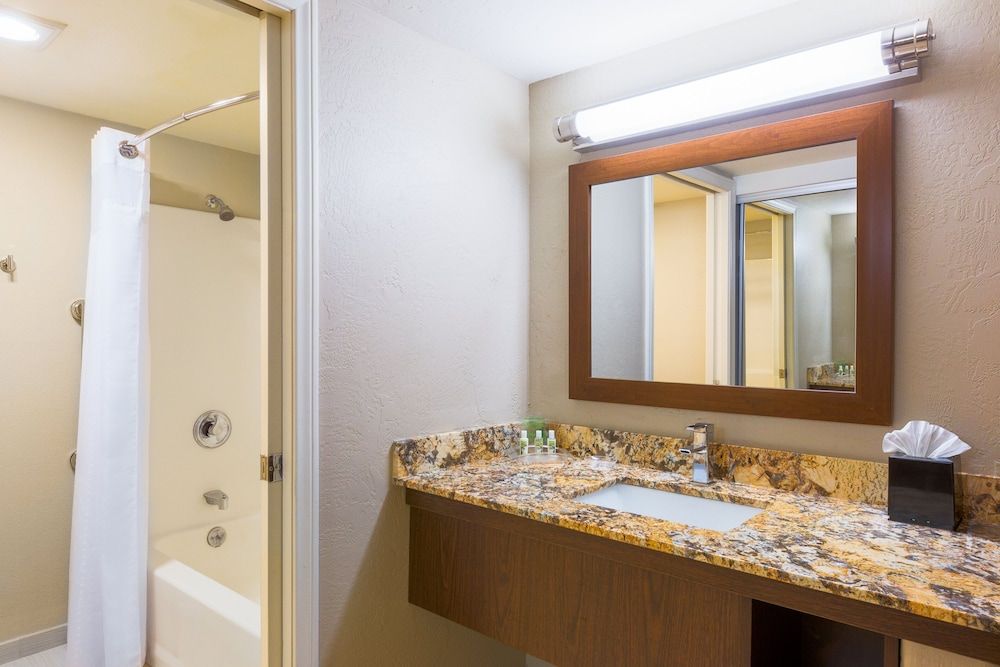 Suite, 1 King Bed, Accessible, Balcony (Mobility, Accessible Tub)