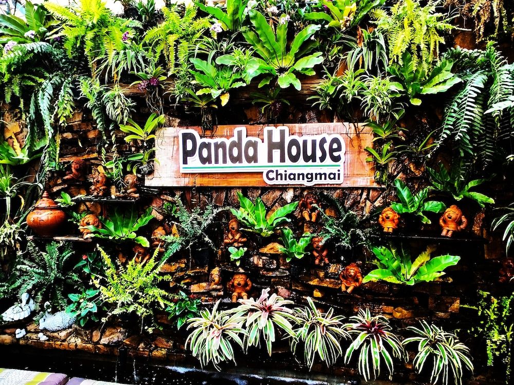 undefined Panda House Chiang Mai 7