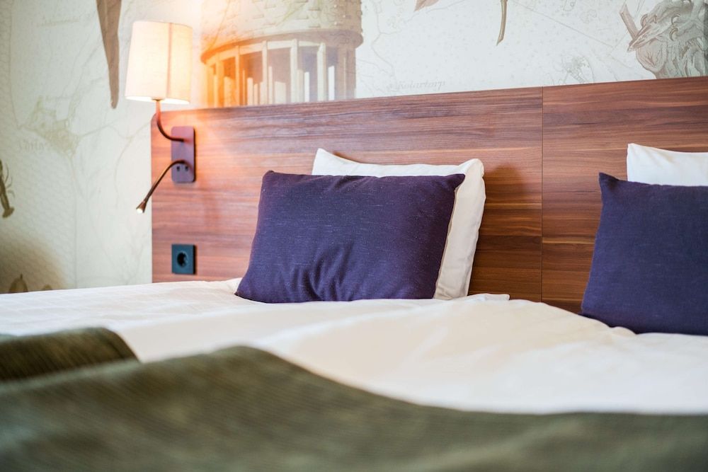 Room, 1 King Bed