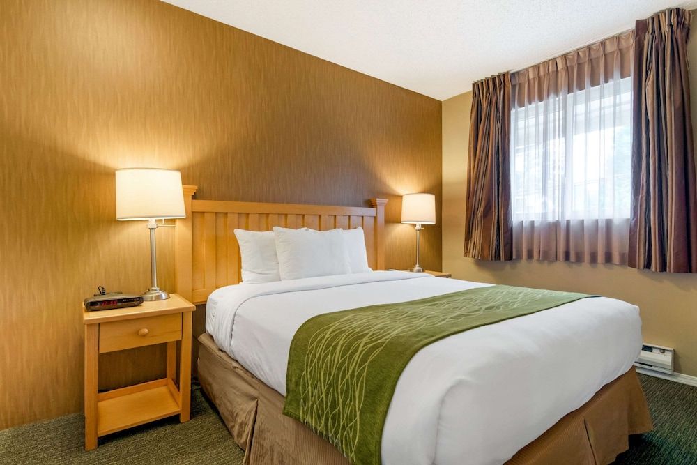 Suite, 1 Queen Bed with Sofa bed, Non Smoking (Efficiency)