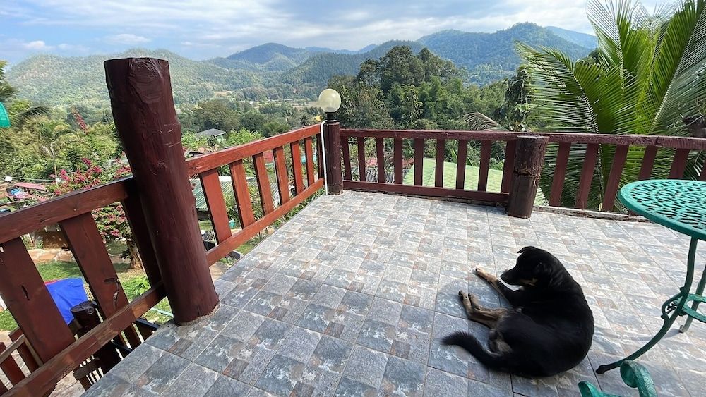 Forest Guesthouse Forest Superior Chalet 6