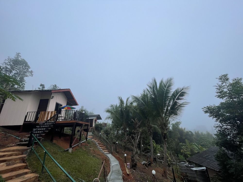 Forest Guesthouse Forest Chalet 3