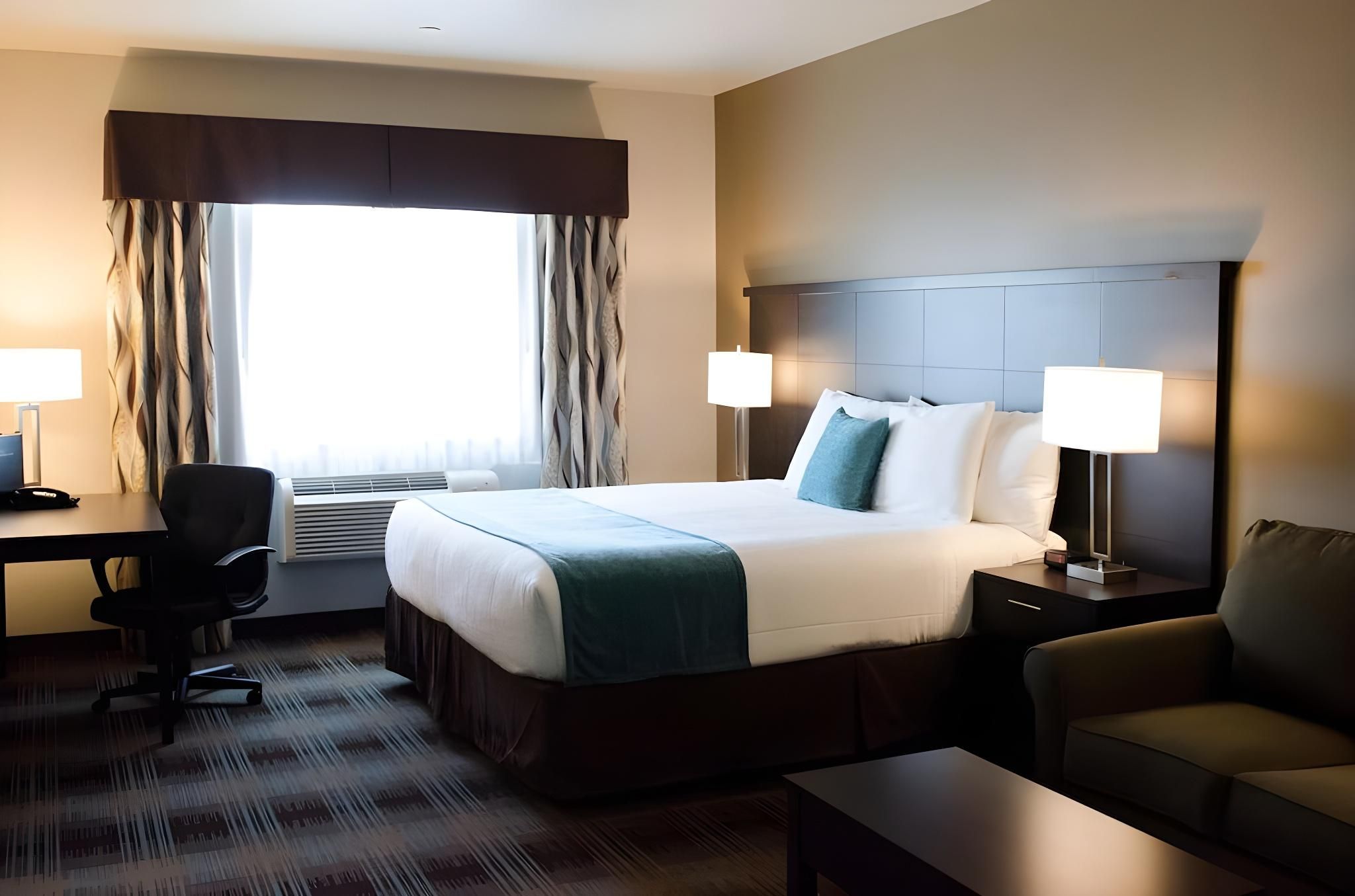 King Executive Suite With Pullout Couch