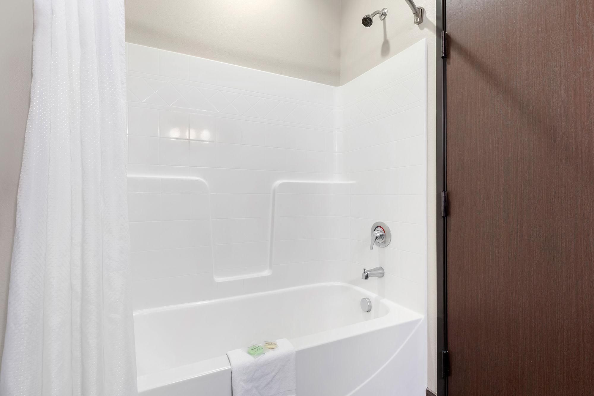 King Executive Suite With Pullout Couch