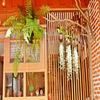 Pailin Guest House