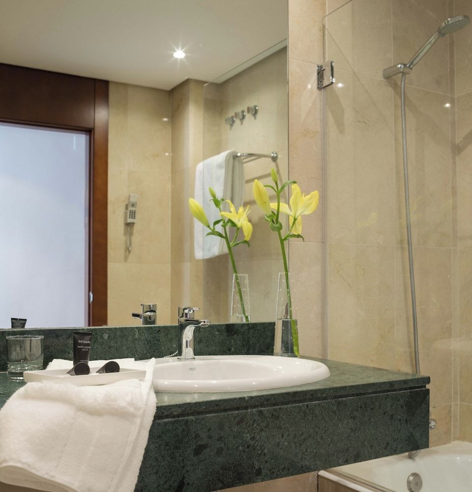 Hotel Rey Alfonso X Standard Double Room 12