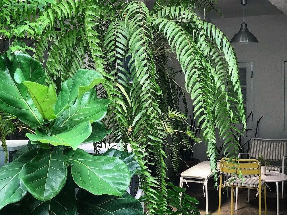 undefined 12/14 HOME Studio 10