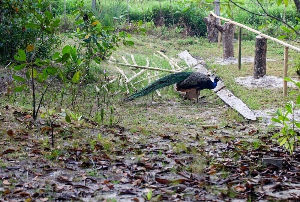 undefined Thalane Beach Resort and Villas 3