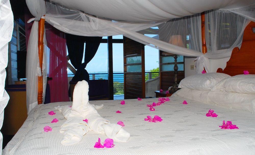 Half Moon Blue Superior Penthouse 2