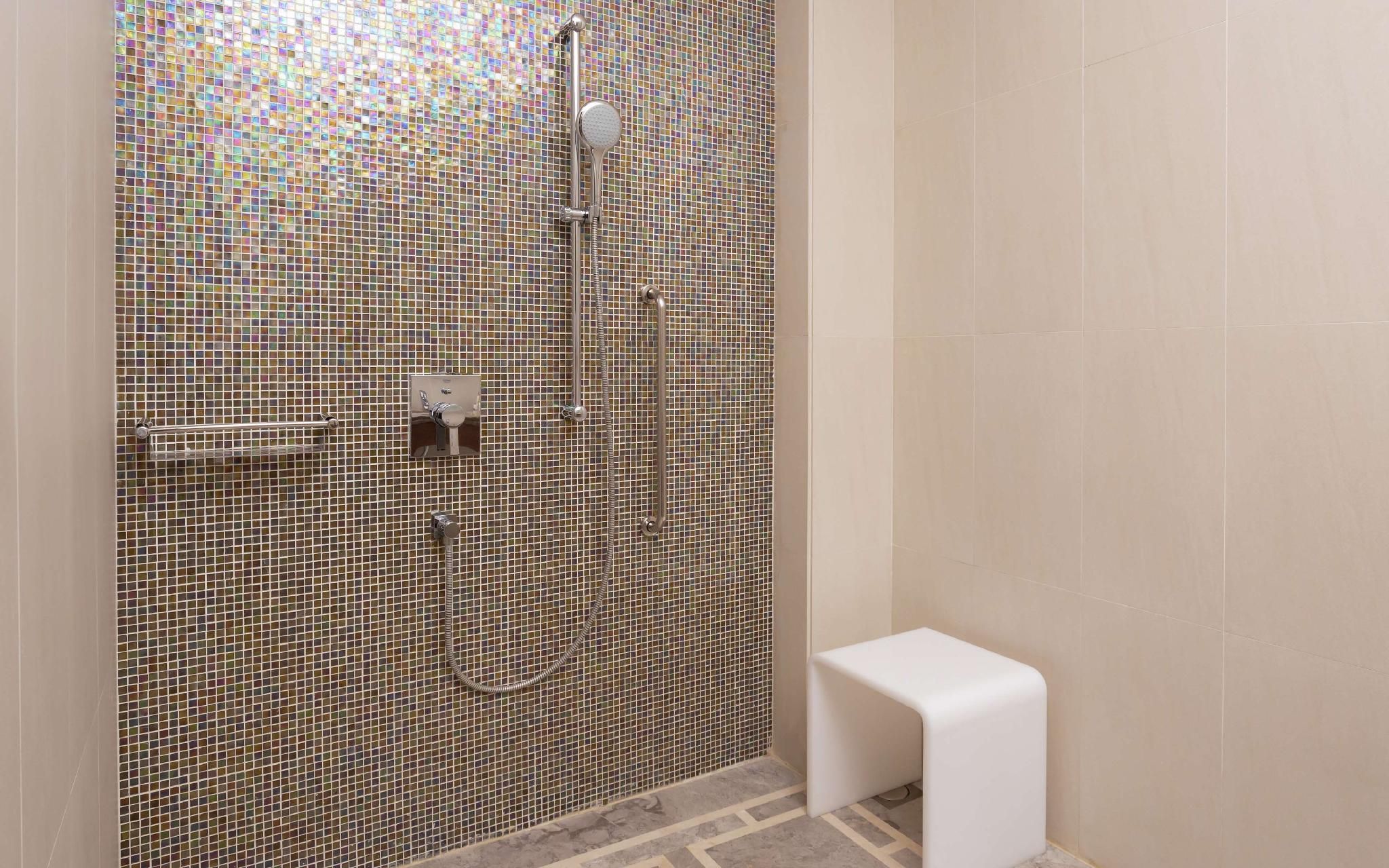 Hilton Dushanbe King Accessible Room 3