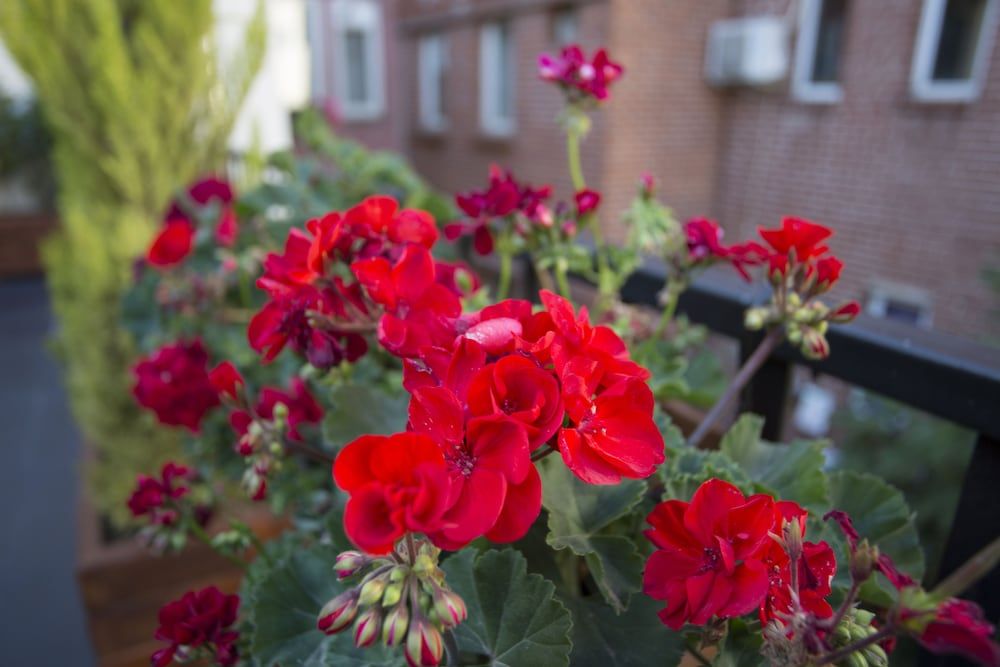 undefined Long Stay Istanbul 7