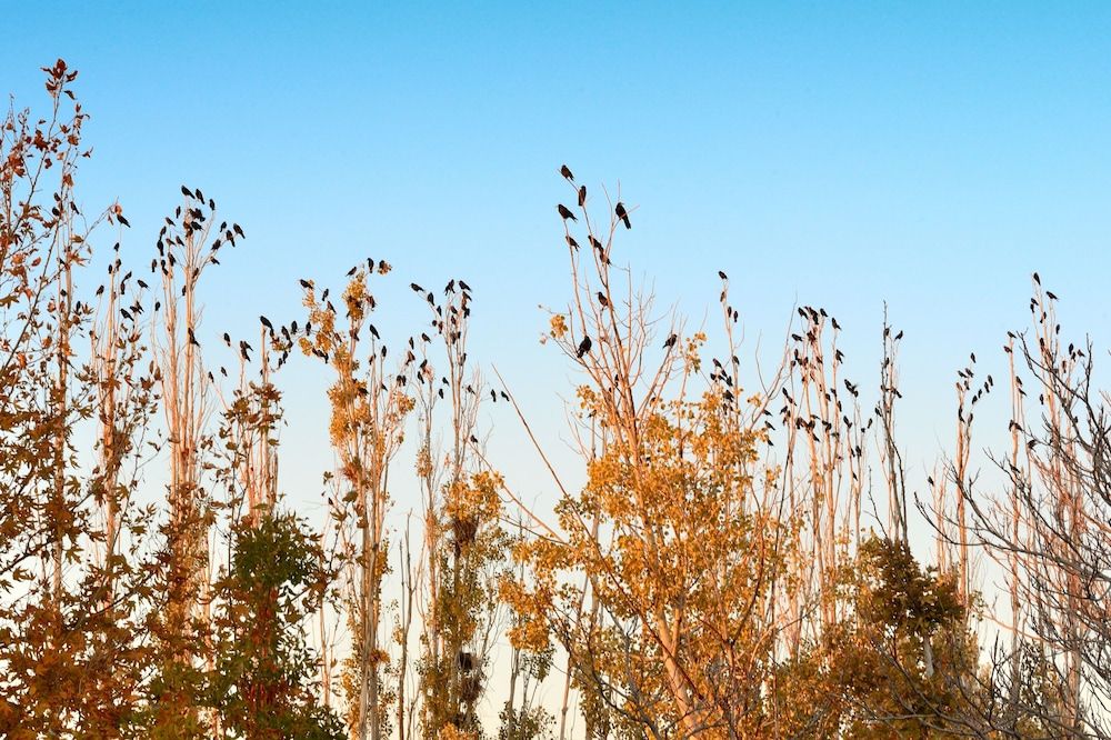 Agacli Hotel Standard Room 6