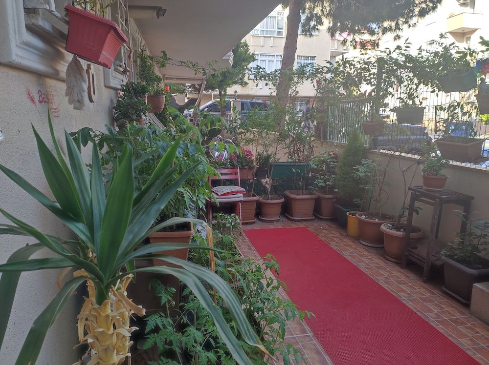 undefined Bufes Hotel 2