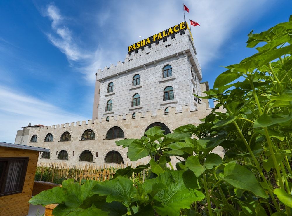 undefined Pasha Palace Hotel 6