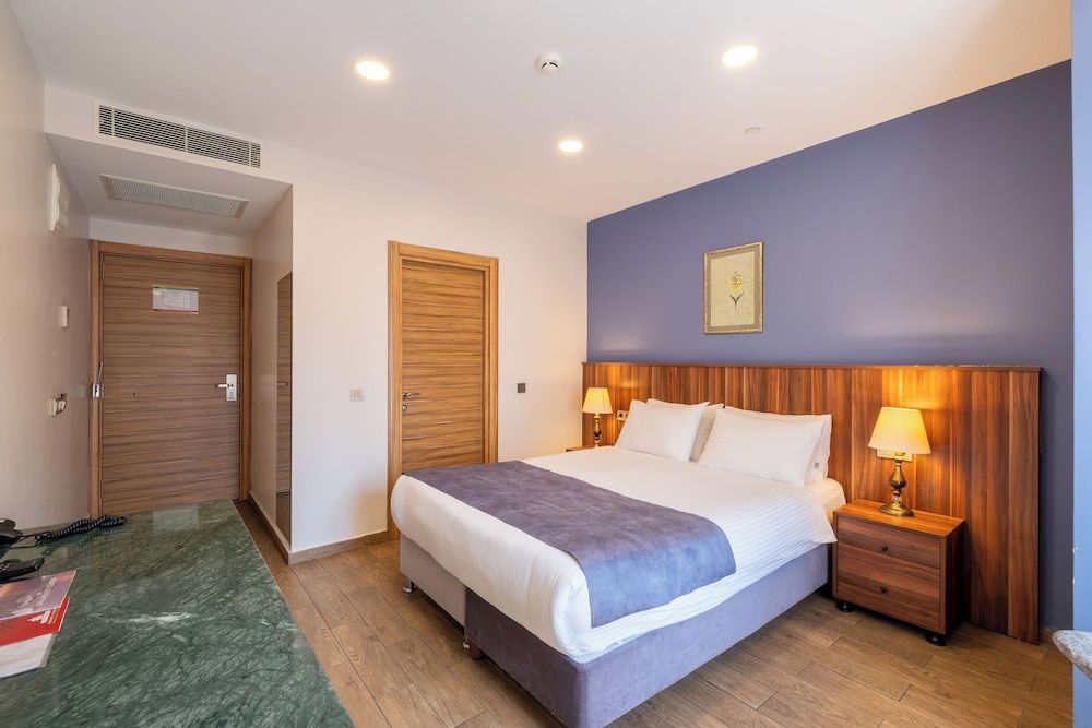 La Wisteria Boutique Hotel Istanbul Standard Double Room, Non Smoking 3