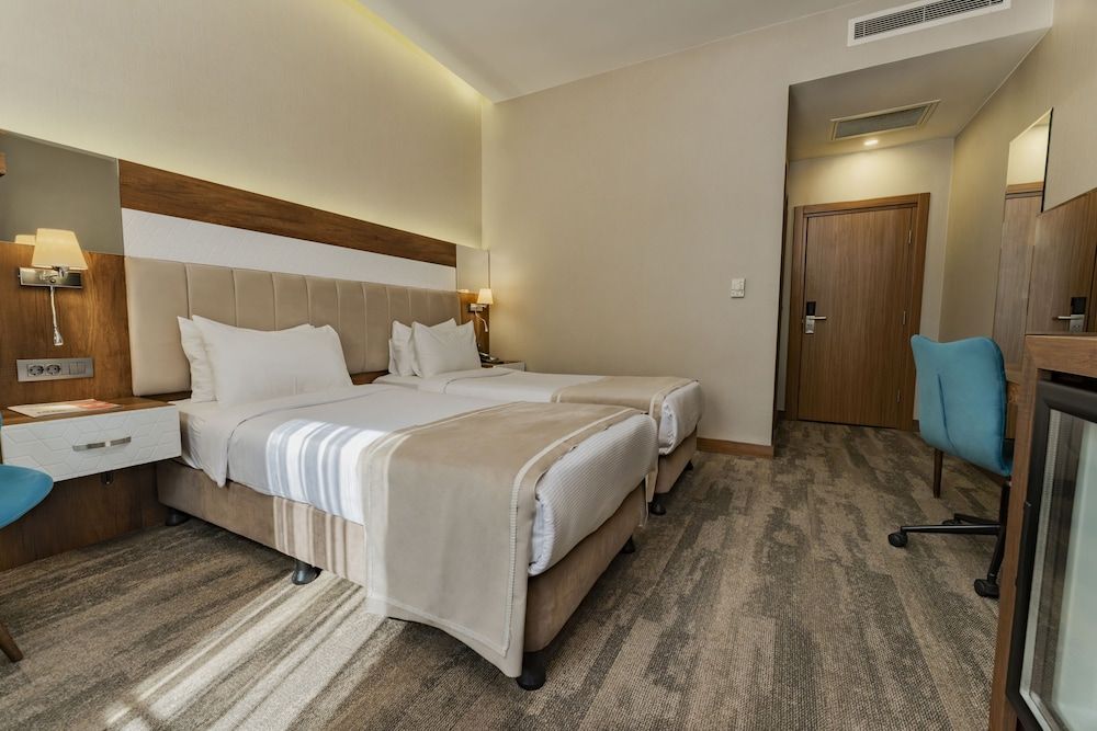 Vespia Hotel Standard Double Room 8