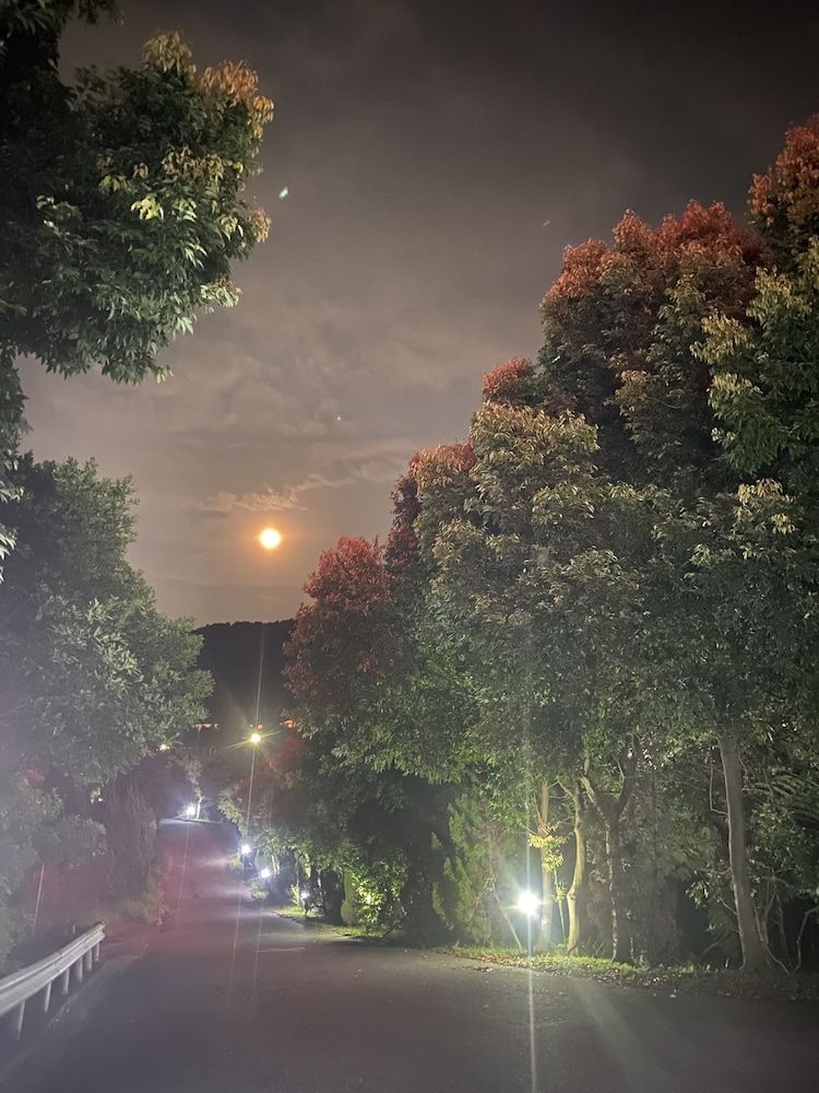 undefined Wan Jin Hot Spring 10