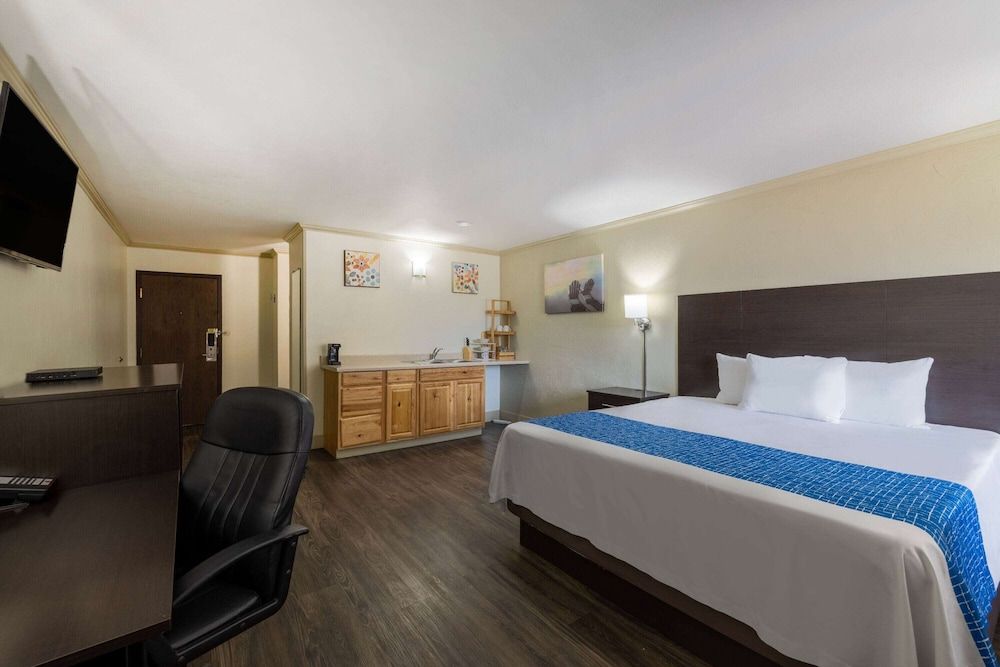 Studio Suite, 1 King Bed, Non Smoking