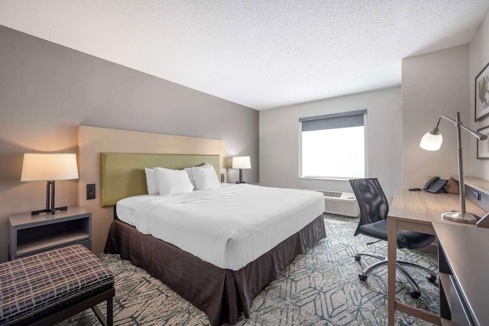 Room, 1 King Bed, Accessible, Non Smoking