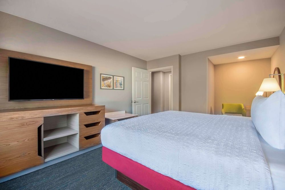 Suite, 1 King Bed with Sofa bed