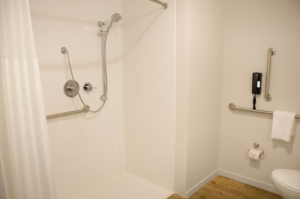 Room, 1 King Bed, Accessible (Roll-In Shower, Mobility & Hearing)
