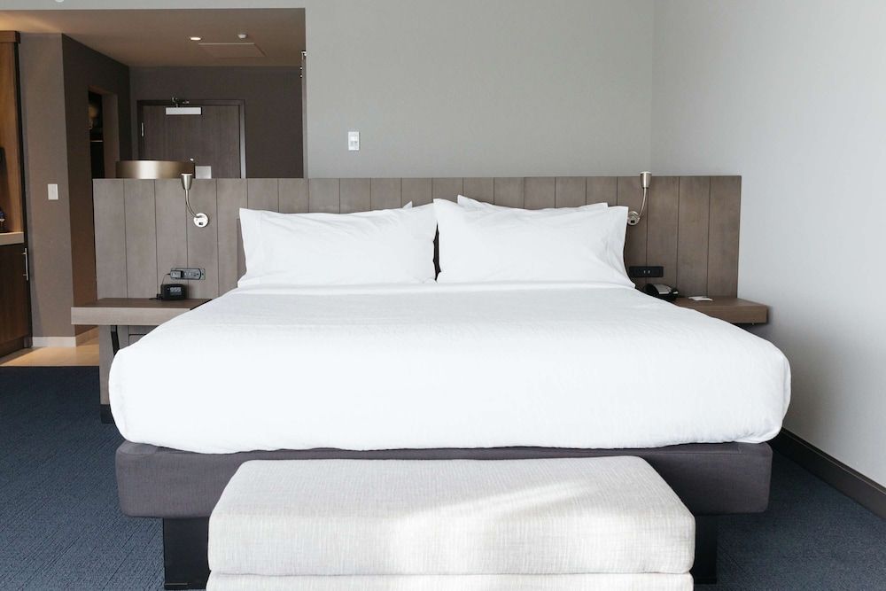 Room, 1 King Bed with Sofa bed