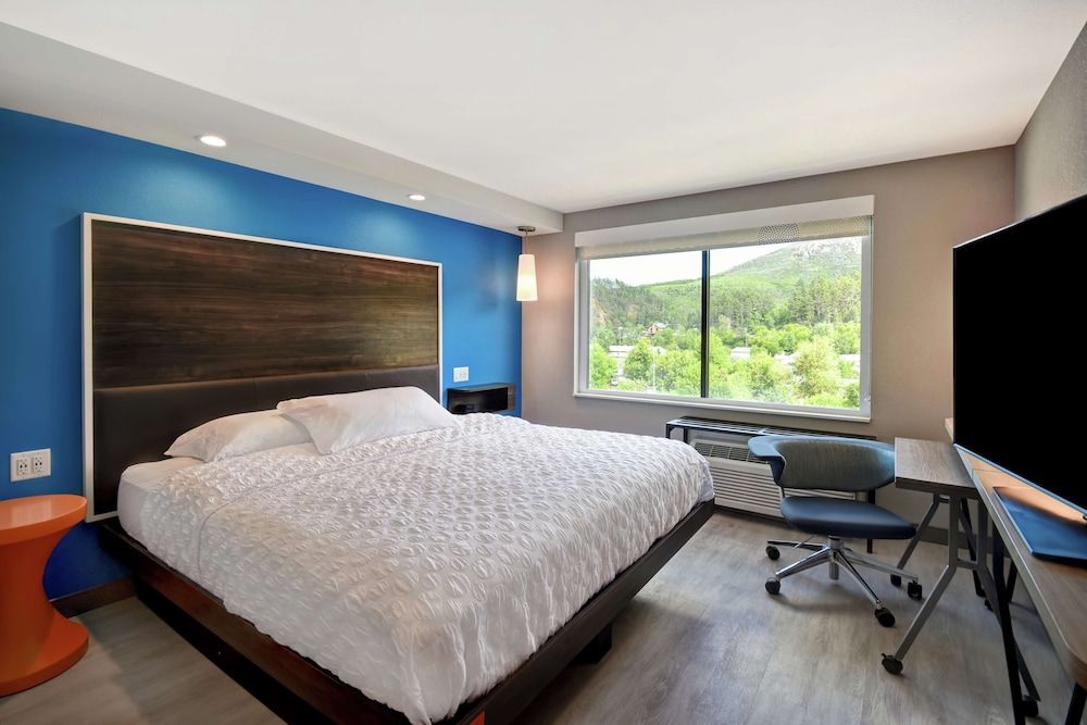 Room, 1 King Bed
